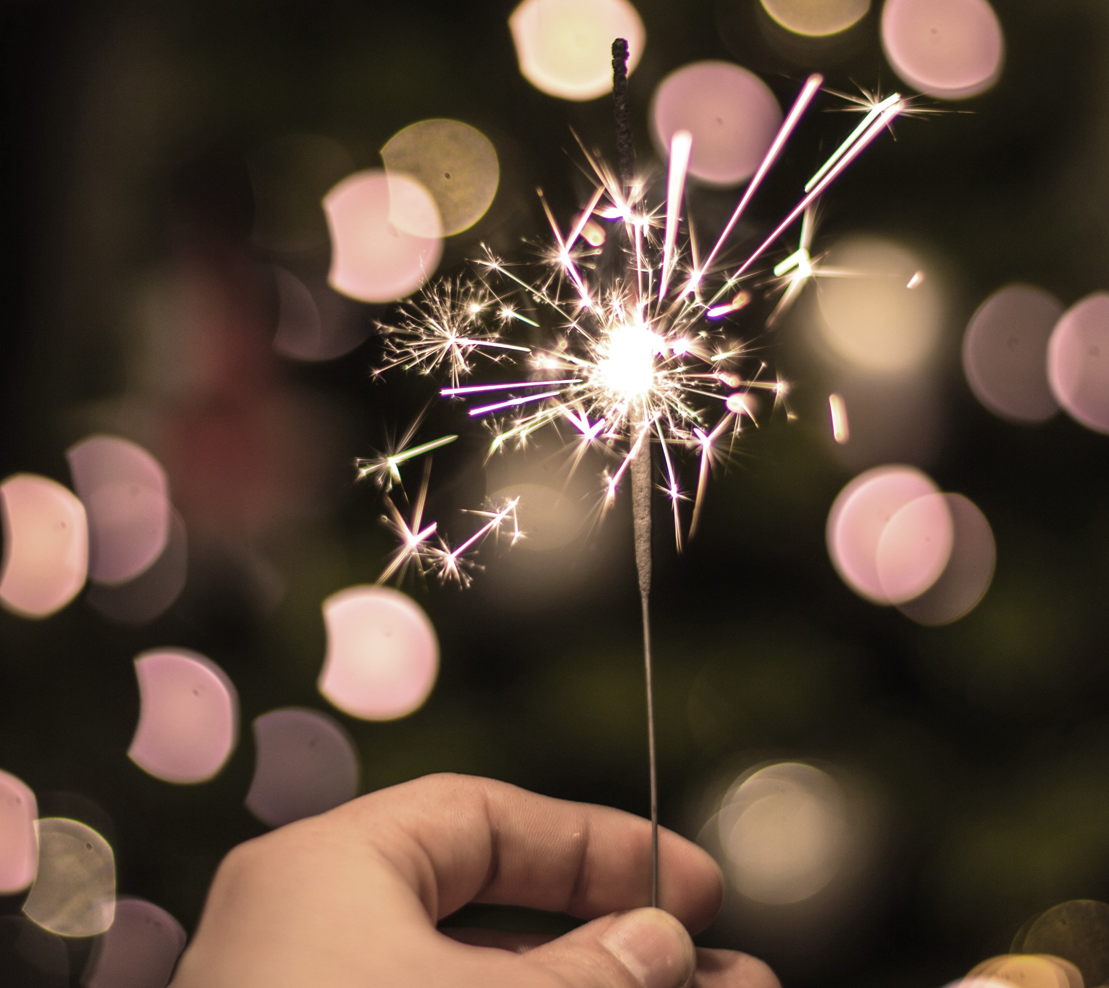 wout-vanacker-l4HBYkURqvE-unsplash